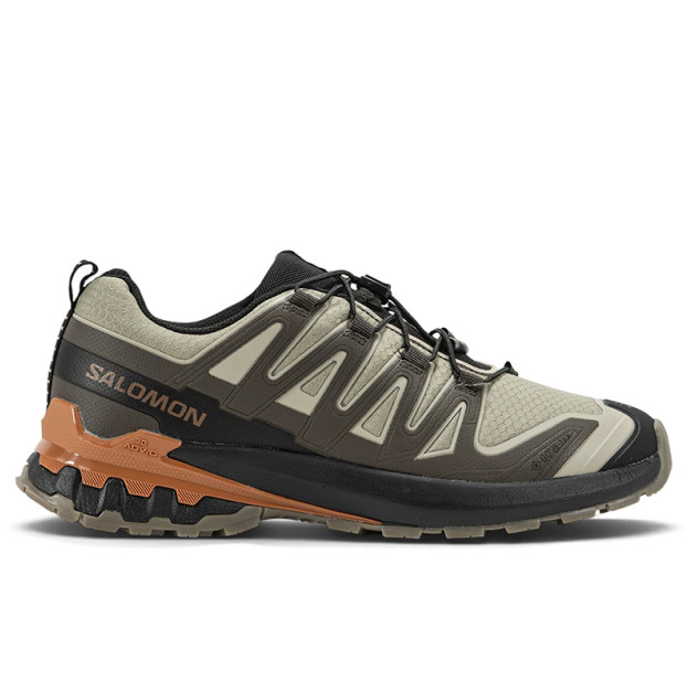 Salomon XA PRO 3D V9 Gore-Tex Natural Black Sugar Almond