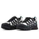 Salomon XA PRO 3D Beige Green Black