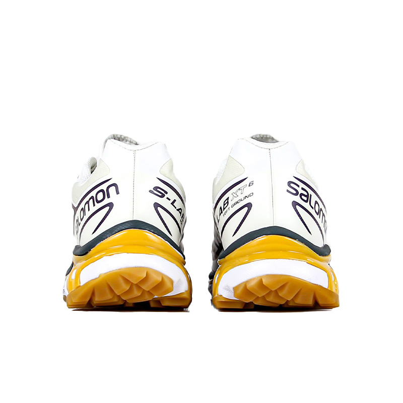 Salomon XT 6 GTX LAB Violet White buy with fast delivery at salomon.in.ua